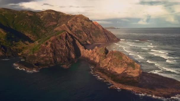 New Zealand coastline aerial — Stock Video