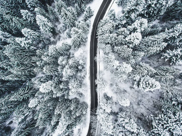 Inverno Estrada Através Uma Floresta Com Árvores Cobertas Neve — Fotografia de Stock