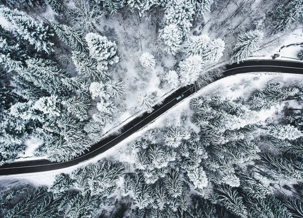 Carro Estrada Inverno Através Uma Floresta Coberta Neve — Fotografia de Stock