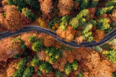 Sonbaharda Transfagarasan dolambaçlı yol