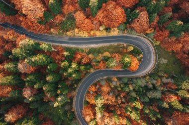 Dolambaçlı yol orman tarafından sonbaharda Karpat Dağları çevrili kavisli