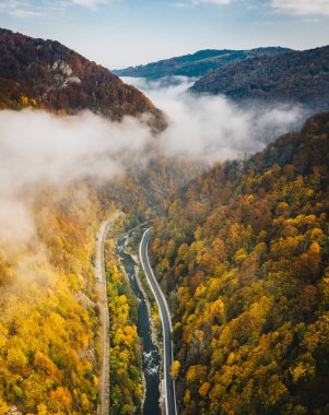 Foggy mountain highway in the middle of the forest on a cold autumn morning clipart