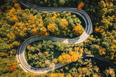 Yukarıda da görüleceği gibi ormandaki dolambaçlı yol aşırı kavisli