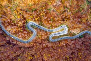 Doğal yol yalak orman sonbahar sezonu, havadan görünümü