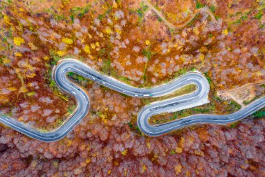 Aşırı sarma doğal yol yalak Transilvanya, Romanya'da bir orman kavisli