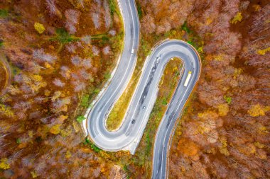 Sonbahar sezonu bir ormanın ortasında manzaralı bir yolda kamyon