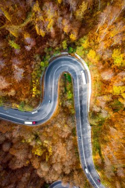 Otomobil ve kamyon ile bir yol havadan görünümü üzerine yalak orman sonbahar sezonu