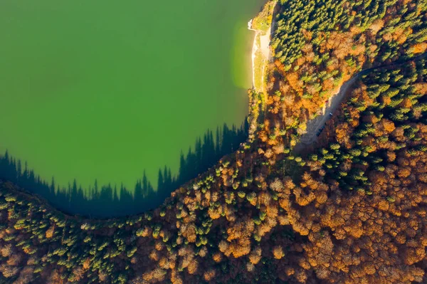 Lac Sainte Anna Tosnad Baile Tusnad Roumanie — Photo