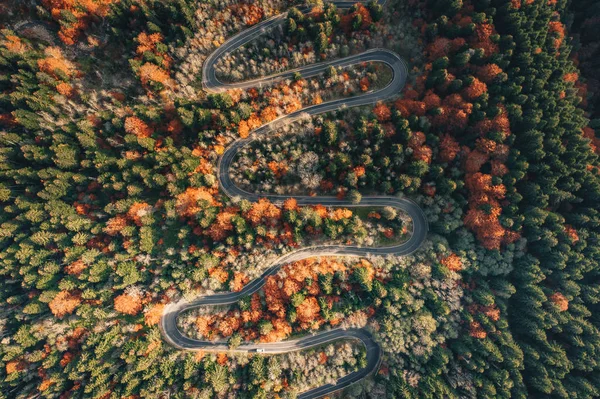 Estrada Montanha Sinuosa Pela Floresta Outono Com Carros Passando Estrada — Fotografia de Stock