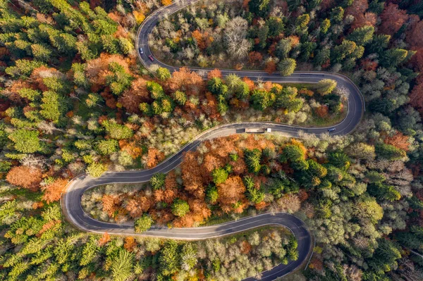 Εκκαθάριση Δρόμο Γούρνα Δάσος Φθινόπωρο Αεροφωτογραφίες — Φωτογραφία Αρχείου