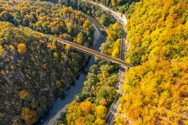 Jiului Údolí Valea Jiului Canyon Panorama Horské Silnici Koryto Lesa — Stock fotografie