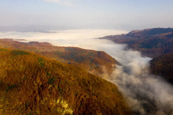 Jiului Valley Dans Les Carpates Par Matin Brumeux — Photo