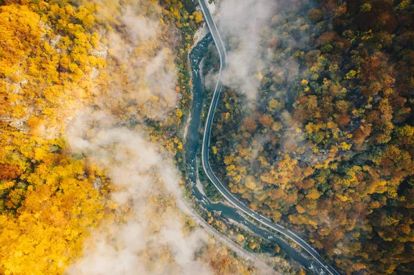 Fog on the road aerial view