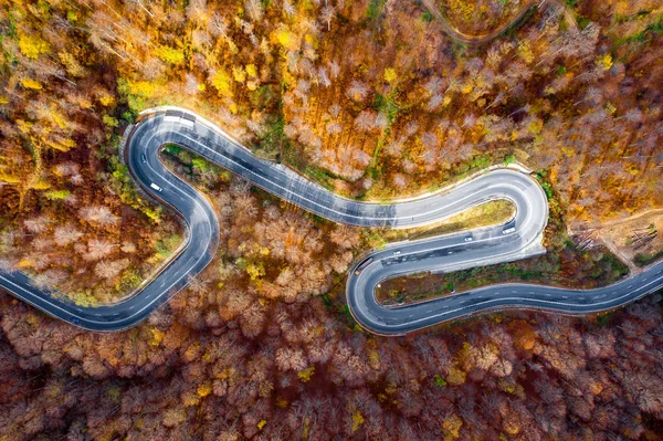 Bogata Forest Romênia Estrada Curva Extrema Temporada Outono — Fotografia de Stock