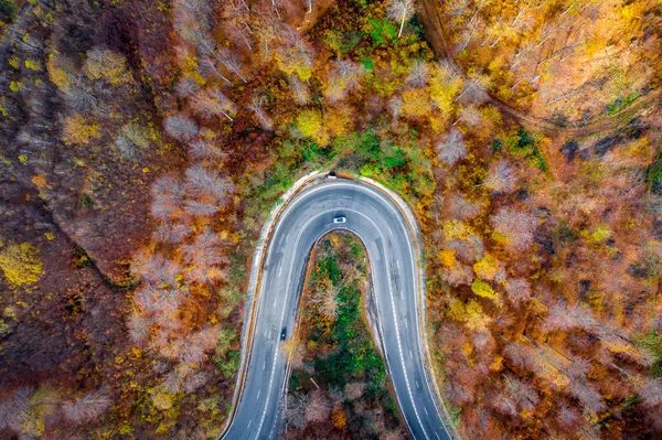 それを車やトラックで曲がりくねった道の上空トラフ秋の森 — ストック写真
