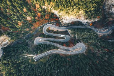 Aşırı sarma orman yolunun ortasında Bicaz Gorge, Transilvanya