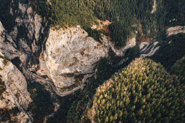 Karpat Dağları, Transilvanya, Romanya Ulusal Parc Hasmas kanyonda bicaz Gorge