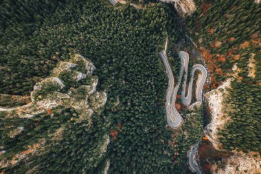 Dolambaçlı yol yalak Bicaz Gorge, Transilvanya orman