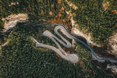 Orman yolu Bicaz Gorge, Transilvanya, Romanya