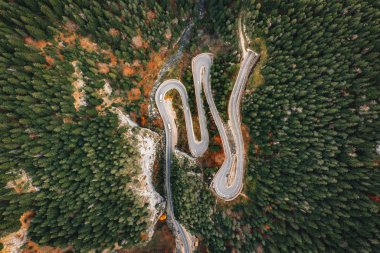 Ormanın ortasında doğal yol