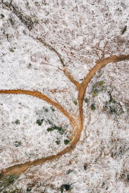 İlk karda orman havadan görünümü