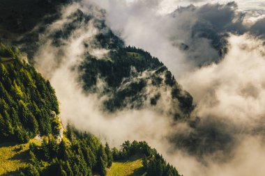 Karpat Dağları doruklarına sisli bir sonbahar sabahı