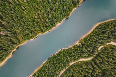 Yukarıda da görüleceği gibi ormanın ortasında Gölü. Bolboci Lake, Karpat Dağları, Romanya