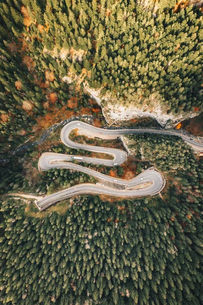 Vista Aérea Uma Estrada Florestal Transilvânia Roménia — Fotografia de Stock