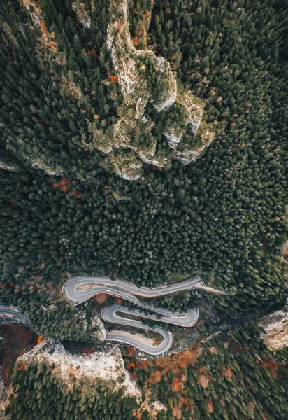 Curved Winding Road Forest — Stock Photo, Image