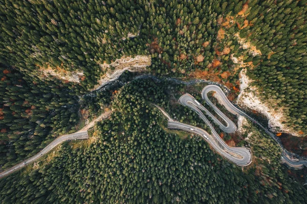 Route Forestière Panoramique Dans Les Gorges Bicaz Transylvanie Roumanie — Photo