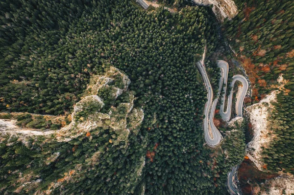 Estrada Floresta Cênica Bicaz Gorge Transilvânia Roménia — Fotografia de Stock