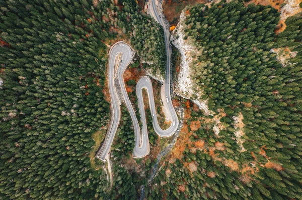 森の中で風光明媚な道路 — ストック写真