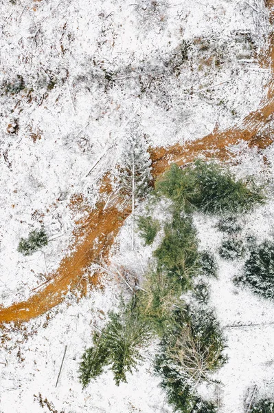 First snow in the forest aerial view