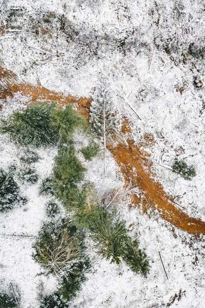 First snow in the forest aerial view