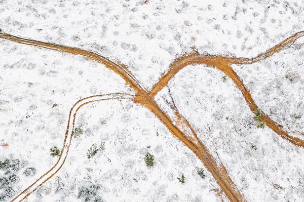 Fresh snow in the forest aerial view