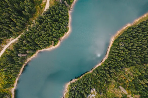 Lac Milieu Forêt Haut Lac Bolboci Carpates Roumanie — Photo