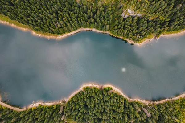 Rivière Milieu Forêt Lac Bolboci Carpates Roumanie — Photo