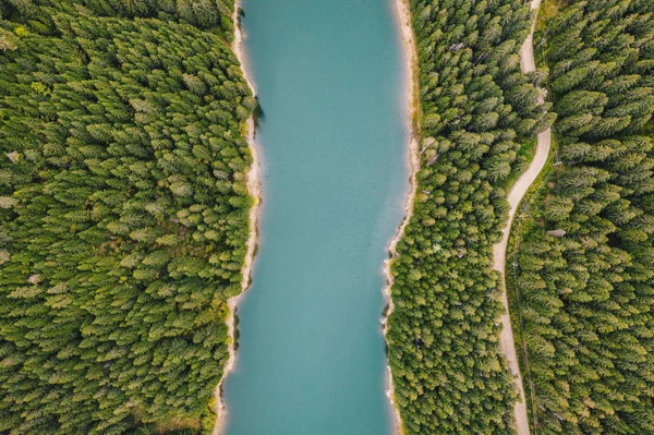 Jezero Uprostřed Lesa Ptačí Perspektivy Bolboci Lake Karpaty Rumunsko — Stock fotografie