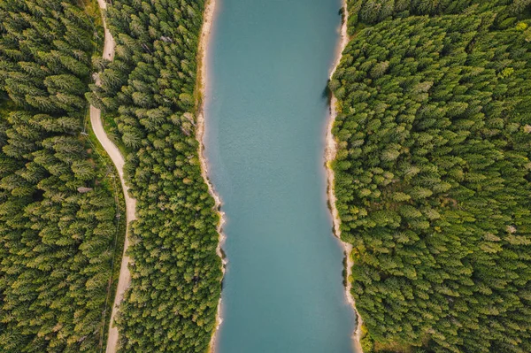 Řeka Uprostřed Lesa Bolboci Lake Karpaty Rumunsko — Stock fotografie