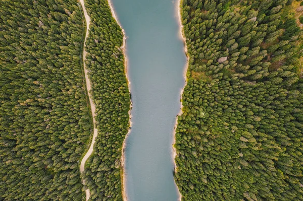 Lac Milieu Forêt Haut Lac Bolboci Carpates Roumanie — Photo