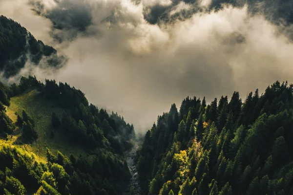 Carpathian Mountains peaks on a foggy autumn morning. Bucegi Mountains, Romania