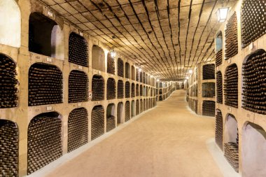 Milestii Mici, Moldova - Kasım 2018: Yeraltı şarap collecti