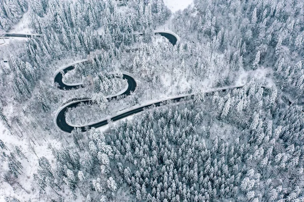 Estrada Inverno Através Uma Floresta Densa Nas Montanhas — Fotografia de Stock