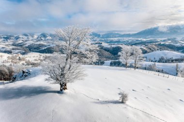 Transilvanya, Romanya geleneksel manzara Sirnea Bran Şatosu ve Sinaia yakınındaki köylü köyden kışın