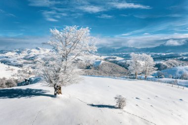 Romanya, Doğu Avrupa, karlı manzarada Noel zamanı yakın