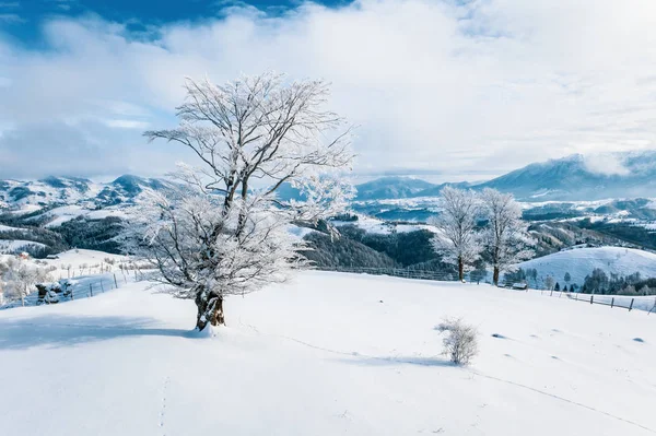 Трансильвания Зимой Румыния — стоковое фото