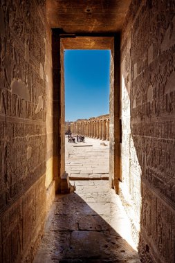 Aswan Mısır tapınakta Elefantin girişinde