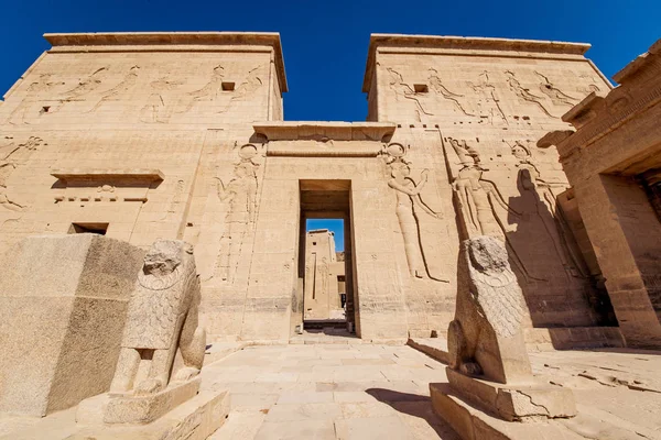 エジプトの つのライオン像に守られたフィラエ神殿入り口 — ストック写真