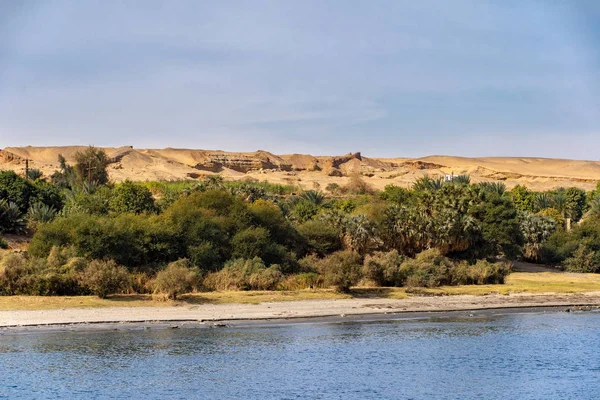 尼罗河的河岸充满了植被和撒哈拉沙漠的背景 — 图库照片