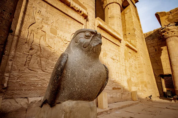 Deus Horus Templo Edfu Egito — Fotografia de Stock